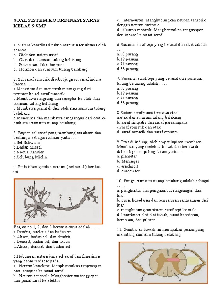 Soal Sistem Koordinasi Saraf Kelas 9 SMP | PDF