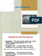 Lecture 3- Sensation and Perception(1).pdf