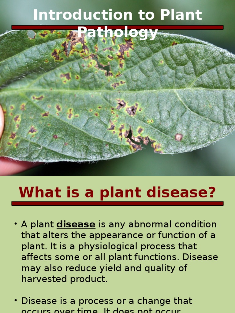 05 Introduction To Plant Pathology | PDF | Plant Pathology | Pathogen