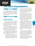 Ciclos Biogeoquimicos