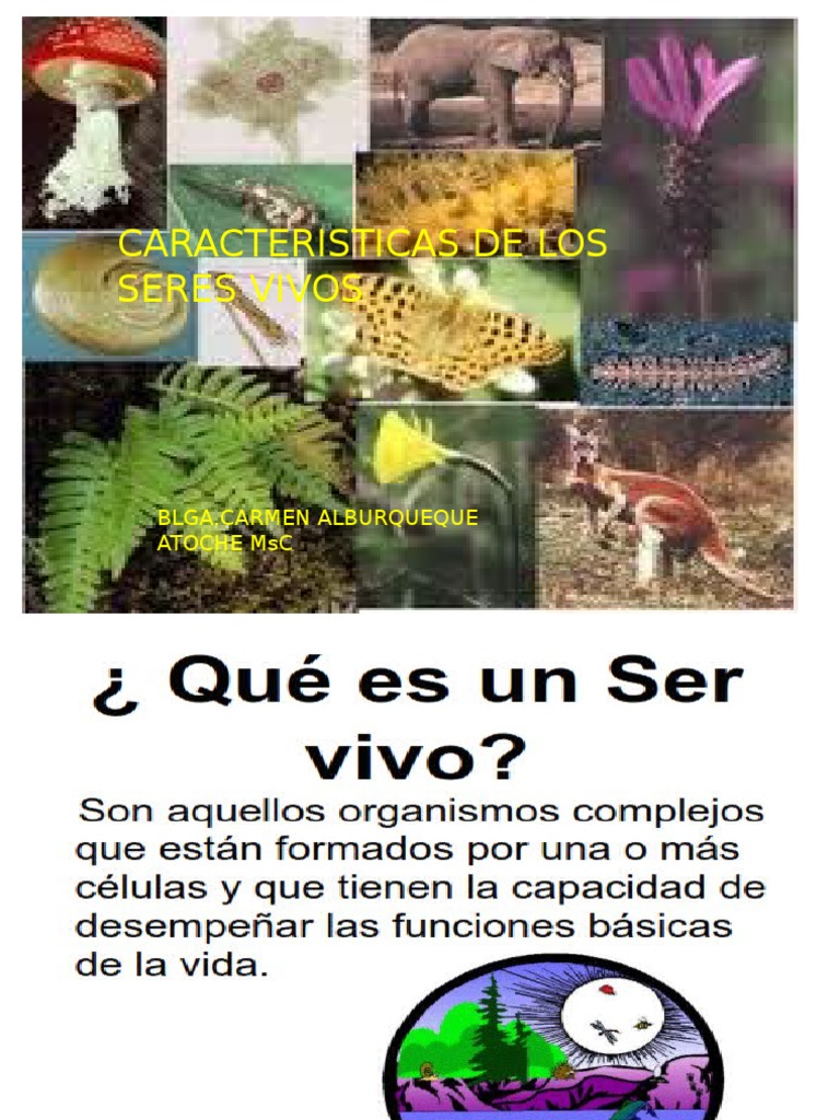 Caracteristicas de Los Seres Vivos | Descargar gratis PDF ...