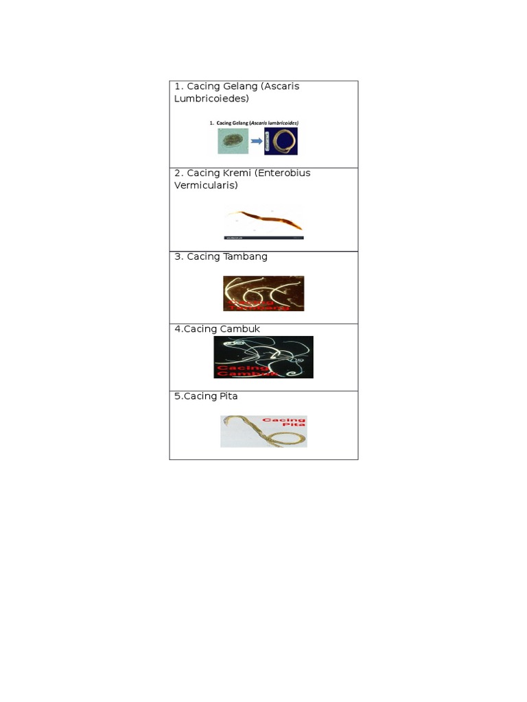 Jenis-Jenis Cacing Parasit | PDF