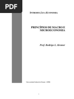 Rodrigo L. Kremer - Introdução à Economia