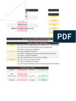 Everyday To Athlete Nutrition Excel Sheet