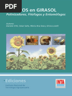 Insectos en Girasol PDF