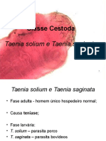 Cestódeos Taenia solium e Taenia saginata