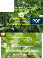 biblioteca_67_Manejo de suelos y diseño de la nutrición en cultivos de cítricos (1).pptx