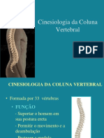 Cinesiologia Da Coluna Vertebral