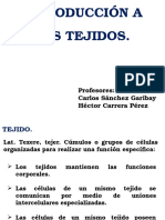 3 Introduccion A Tejidos