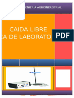 CAIDA LIBRE.docx