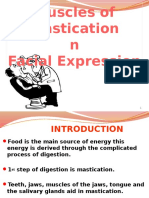  Muscles of Mastication