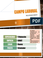 Campo Laboral