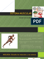 Anatomía y Fisiología Sistema Muscular