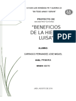 Proyecto de Investigación Hierba Luisa