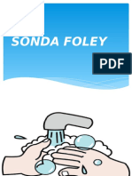 Sonda Foley