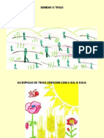 Ciclo Do Pão