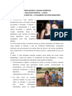 Relatório Pedagógico Suzana e Adriana 2014