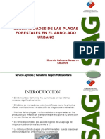 Generalidades Plagas Forestales