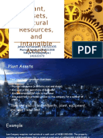 Plant, Assets, Natural Resources and Intangible Assets