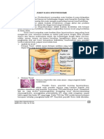 Hipertiroid.pdf