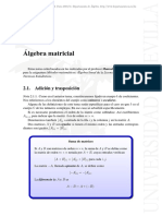Algebra Matricial