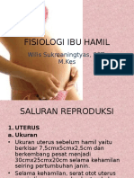 Fisiologi Ibu Hamil