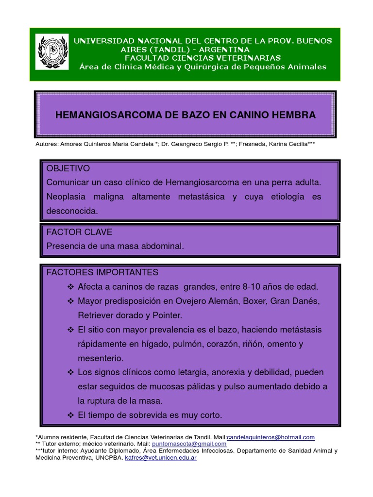Hemangiosarcoma Bazo Canino | PDF | Cáncer | Metástasis