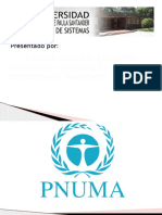 PNUMA