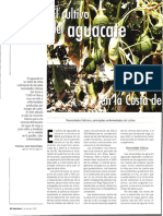 Cultivo Aguacate en Granada PDF
