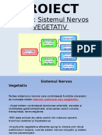 Anatomie SNV