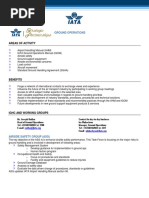 IATA Ground Operations Manual TOC | PDF