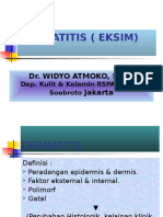 Dermatitis (Eksim)