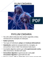 Cnidaria PDF