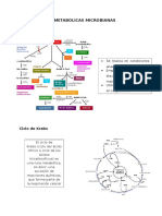 Vias Metabolic As