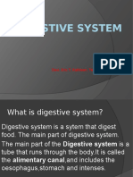 Digestive System: Group 5 Devi, Eric T, Kathleen, Teofano, Zeus