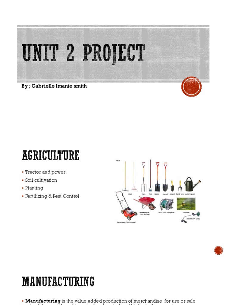 Unit 2 Project Overview and Insights | PDF
