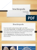 Brachiopods: Presented By: G. M. J. B