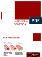 Arter I Oe Sclerosis