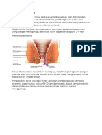 TROMBOSIS PERIANAL