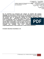 Formato Reporte de Practicas Innovación (1).docx