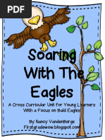 Pantanal Bird List Birds Tetrapods