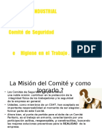 Comité Seguridad e Higiene en El Trabajo