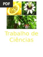 Trabalho de Ciências