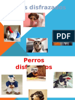 GATITOS Y PERROS DISFRAZADOS