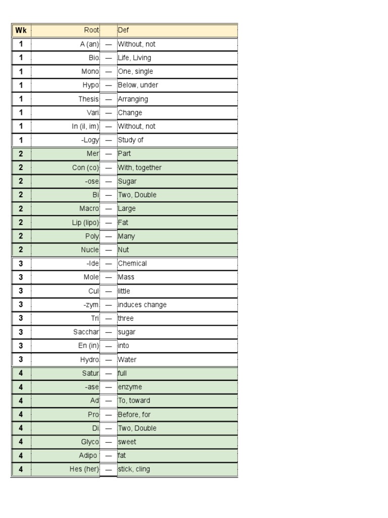 Bio Root List Polysaccharide Meiosis