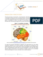 Semana 3 PDF