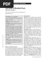 Download Mini Guide to Witch of Blackbird Pond by Charlene Dabon SN324577998 doc pdf