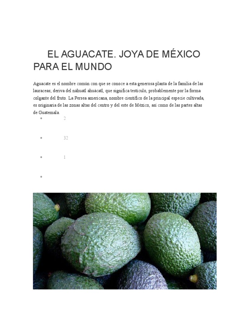 El Aguacate Pdf Aguacate México