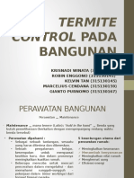 Cara Mengendalikan Rayap Secara Aman dan Ramah Lingkungan