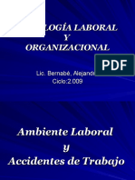 Anbiente Laboral y Accidentes